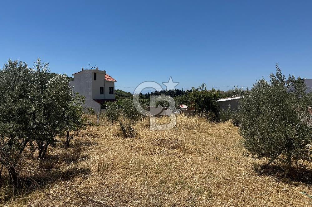 ÇANDARLI MAVİKENT’TE DOĞAYLA İÇ İÇE 310 M² VİLLA İMARLI SATILIK ARSA