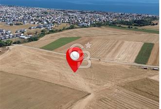 TEKİRDAĞ MARMARAEREĞLİSİNDE 220 m2 HİSSELİ TARLA - 12 - 359566