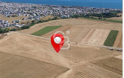 TEKİRDAĞ MARMARAEREĞLİSİNDE 220 m2 HİSSELİ TARLA