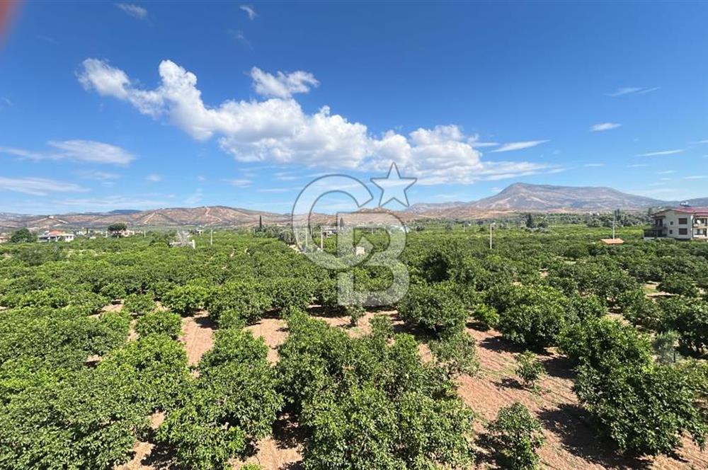 Seferihisar Bengilerde 5.836 m² Tarla