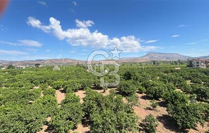 Seferihisar Bengilerde 5.836 m² Tarla