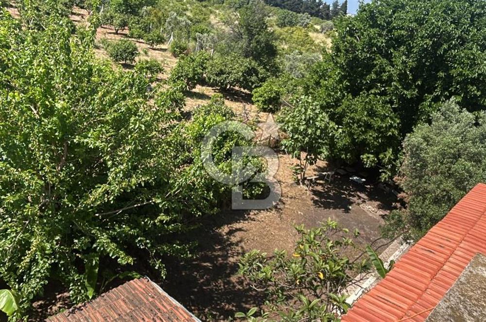 Seferihisar Bengilerde 5.836 m² Tarla