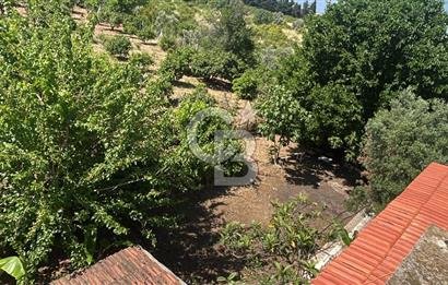 Seferihisar Bengilerde 5.836 m² Tarla