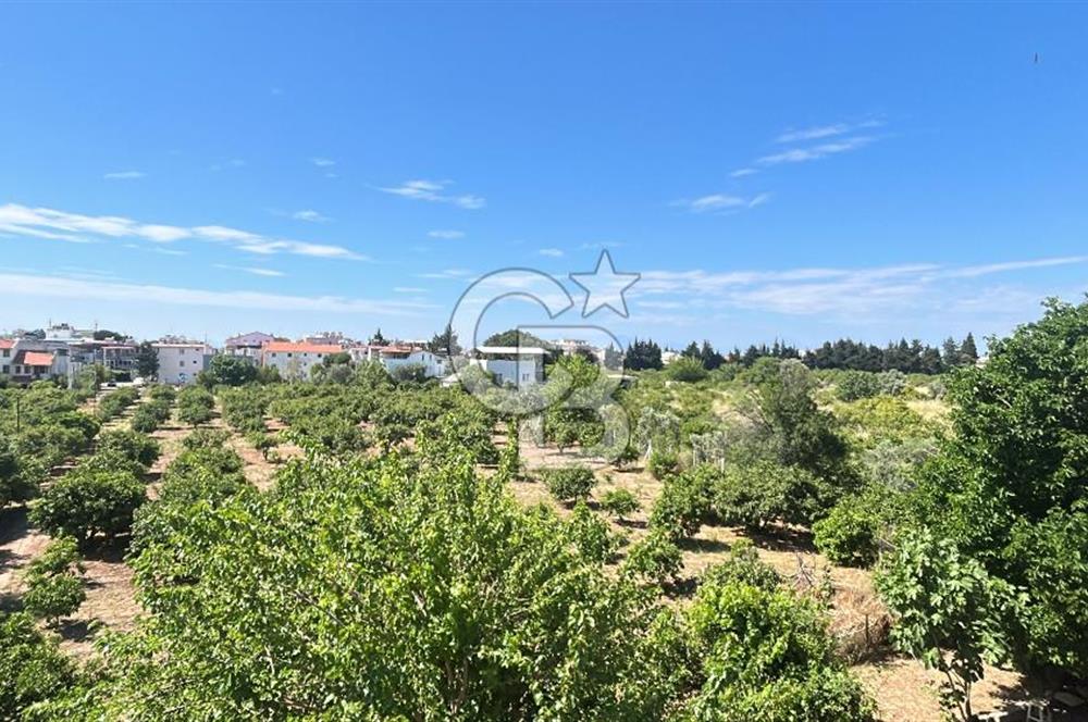 Seferihisar Bengilerde 5.836 m² Tarla