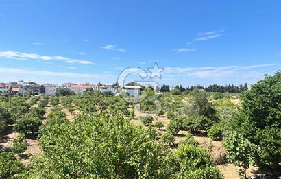 Seferihisar Bengilerde 5.836 m² Tarla