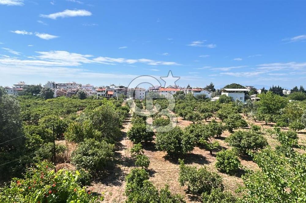 Seferihisar Bengilerde 5.836 m² Tarla