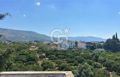 Seferihisar Bengilerde 5.836 m² Tarla