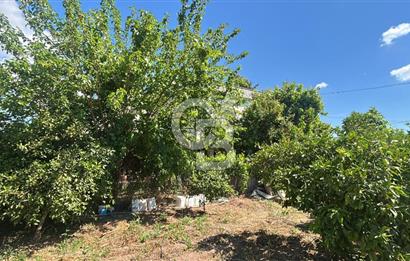 Seferihisar Bengilerde 5.836 m² Tarla
