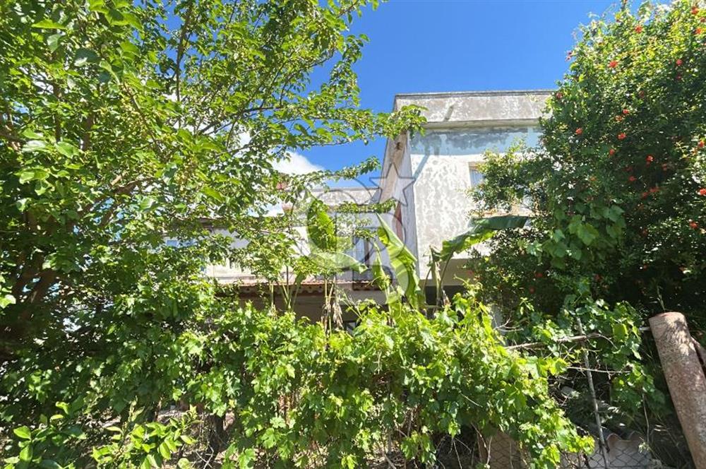Seferihisar Bengilerde 5.836 m² Tarla