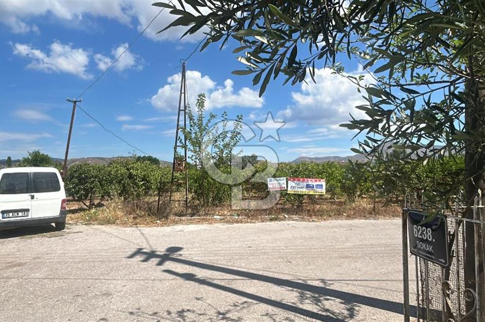 Seferihisar Bengilerde 5.836 m² Tarla