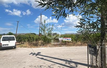 Seferihisar Bengilerde 5.836 m² Tarla
