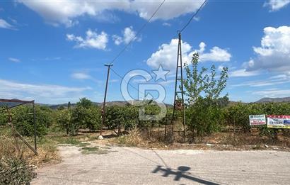 Seferihisar Bengilerde 5.836 m² Tarla