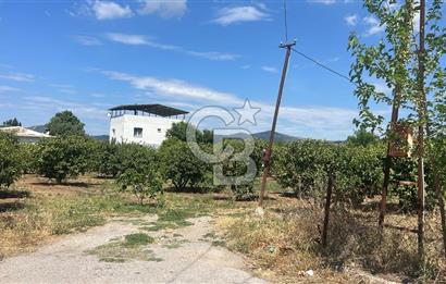 Seferihisar Bengilerde 5.836 m² Tarla