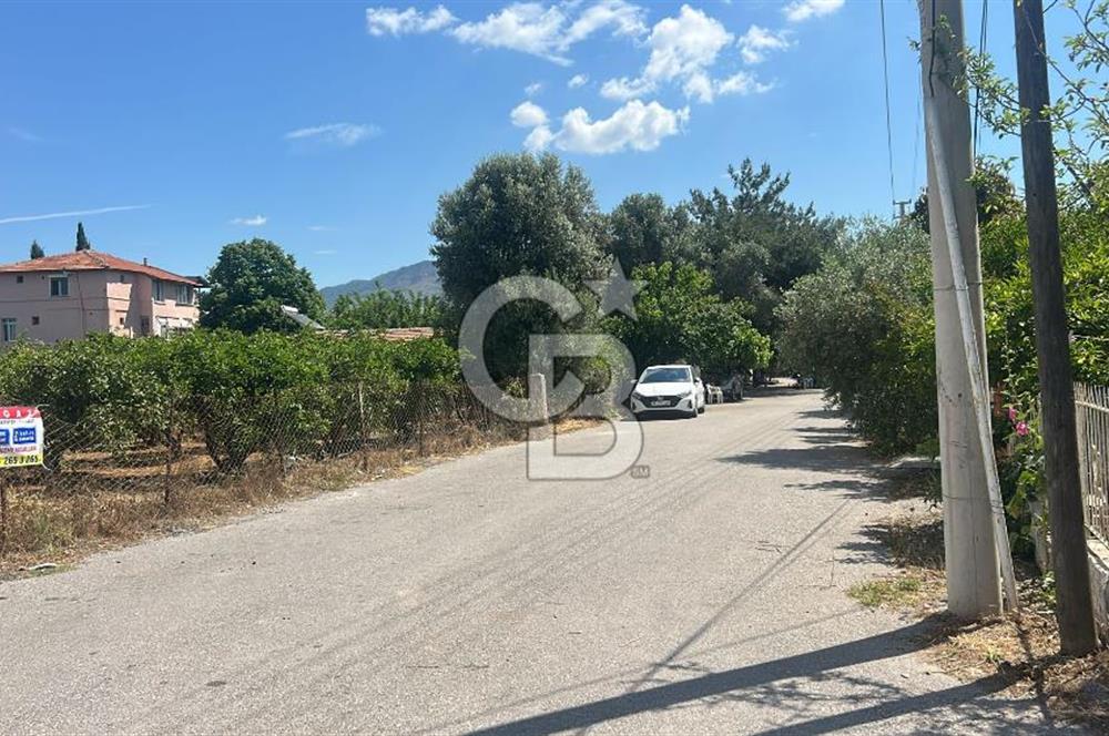 Seferihisar Bengilerde 5.836 m² Tarla