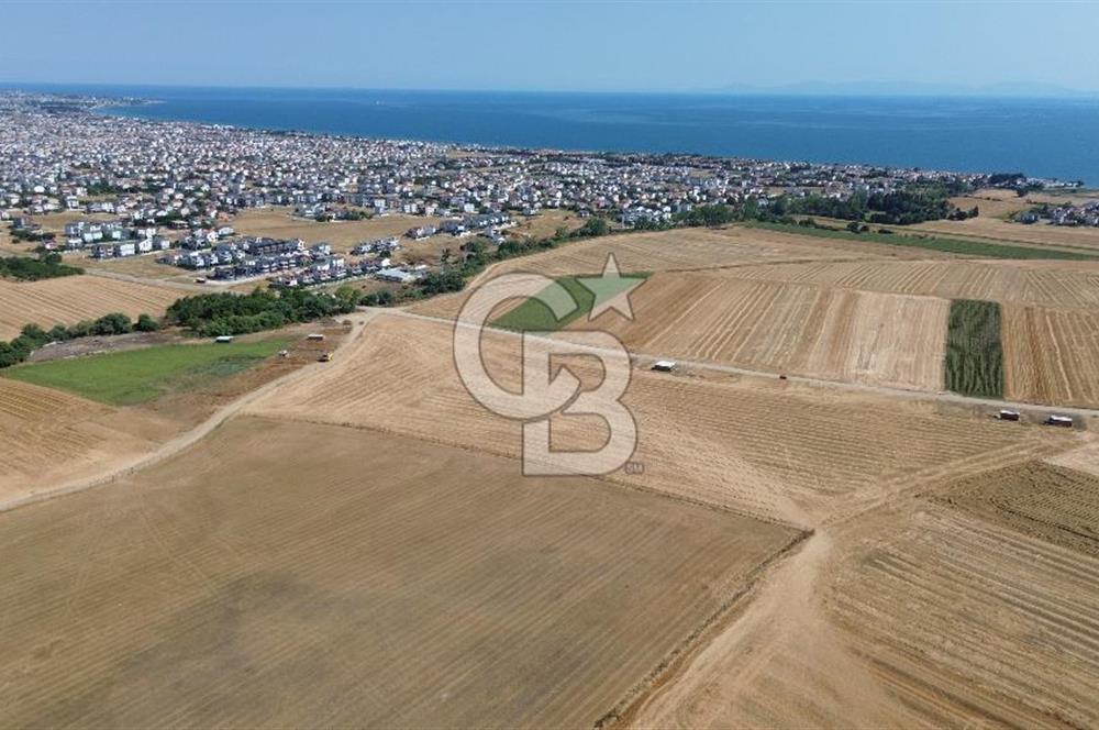 TEKİRDAĞ MARMARAEREĞLİSİNDE 220 m2 HİSSELİ TARLA