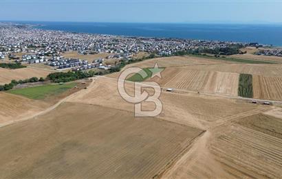 TEKİRDAĞ MARMARAEREĞLİSİNDE 220 m2 HİSSELİ TARLA