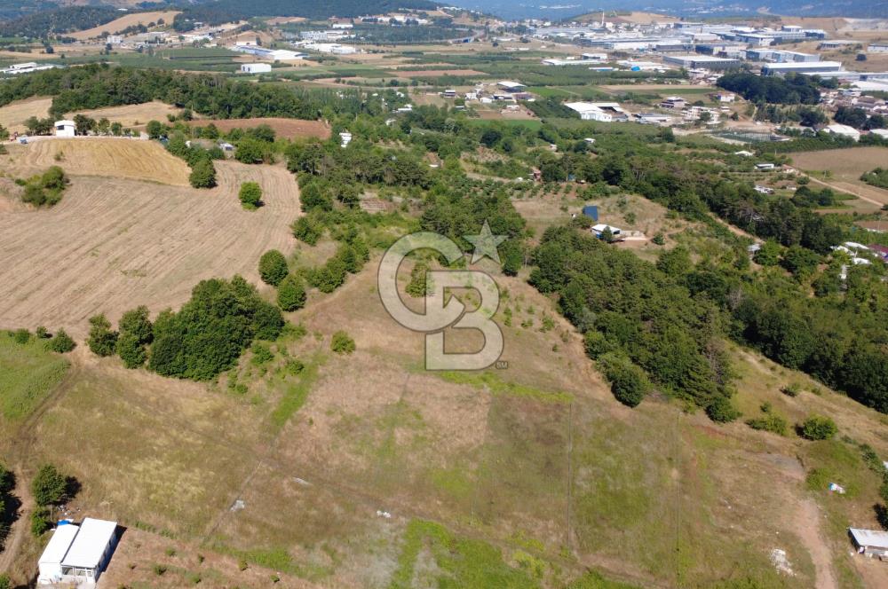 Kestel Erdoğan'da 5.546 m² Yatırıma ve Ticarete Uygun Tarla