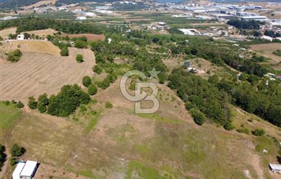 Kestel Erdoğan'da 5.546 m² Yatırıma ve Ticarete Uygun Tarla