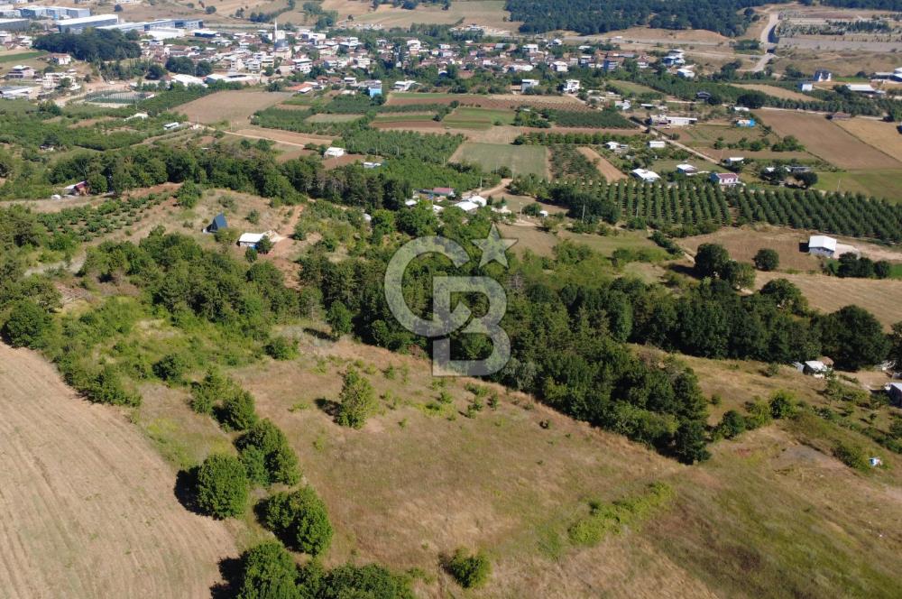 Kestel Erdoğan'da 5.546 m² Yatırıma ve Ticarete Uygun Tarla