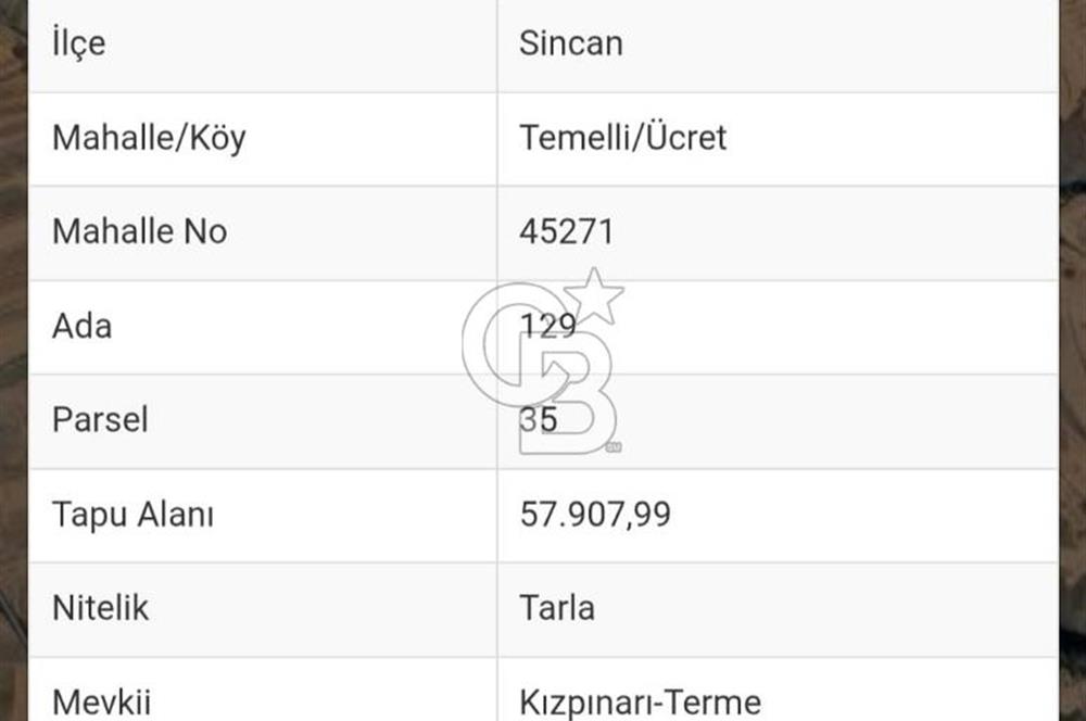 Ankara Sİncan Ücret Köyünde Satılık Tarla