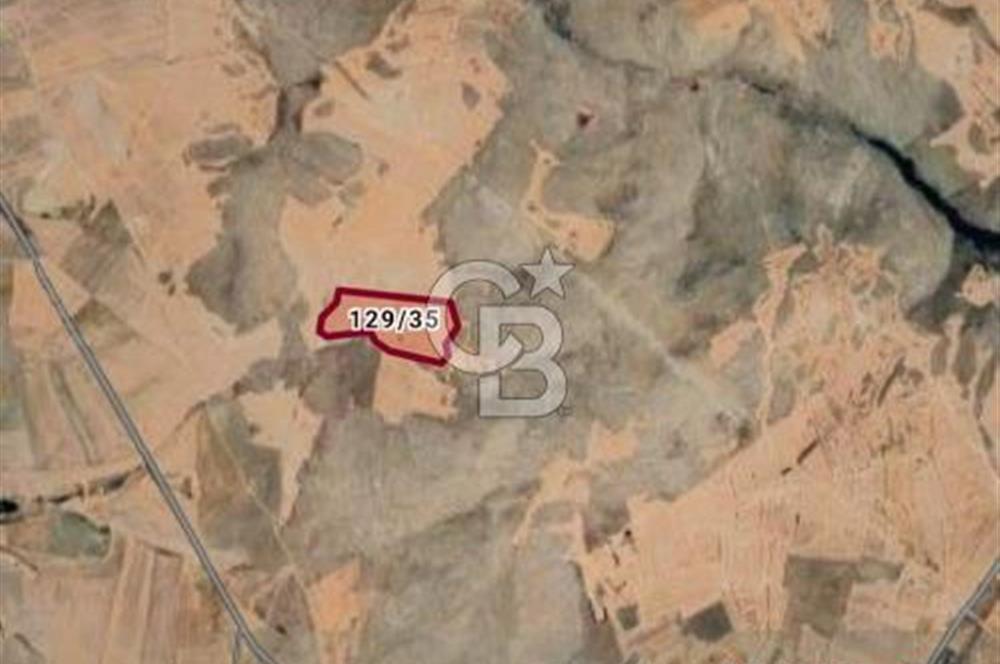 Ankara Sİncan Ücret Köyünde Satılık Tarla