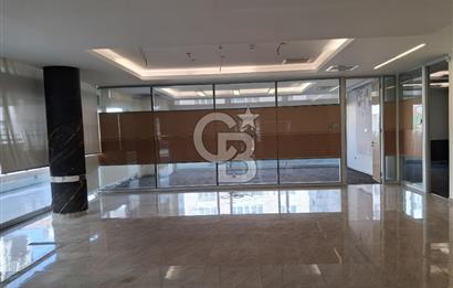 GAZİOSMANPAŞA'DA 1.700 m² KAPALI ALANLI KOMPLE KİRALIK BİNA
