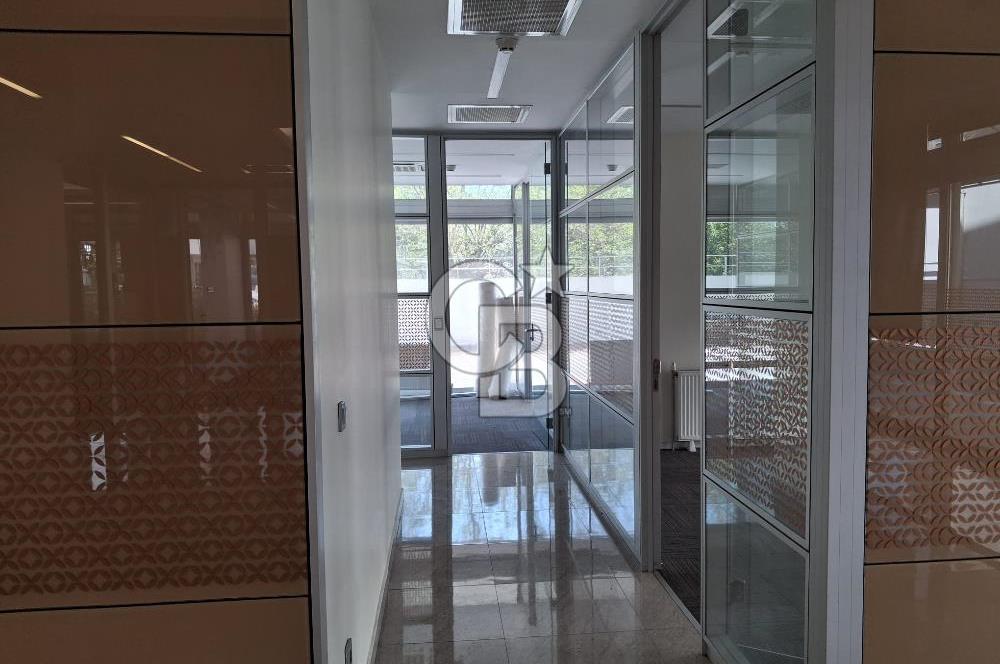 GAZİOSMANPAŞA'DA 1.700 m² KAPALI ALANLI KOMPLE KİRALIK BİNA