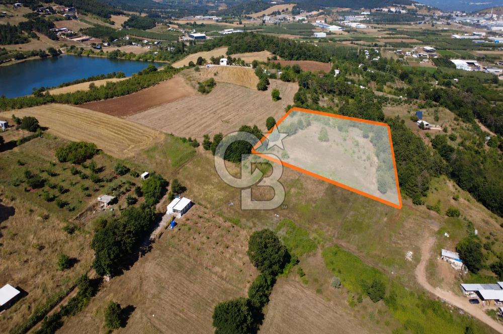 Kestel Erdoğan'da 5.546 m² Yatırıma ve Ticarete Uygun Tarla