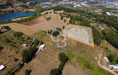 Kestel Erdoğan'da 5.546 m² Yatırıma ve Ticarete Uygun Tarla