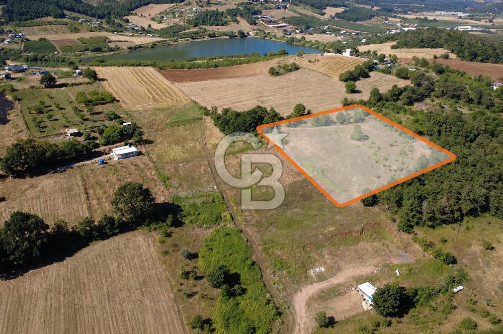 Kestel Erdoğan'da 5.546 m² Yatırıma ve Ticarete Uygun Tarla