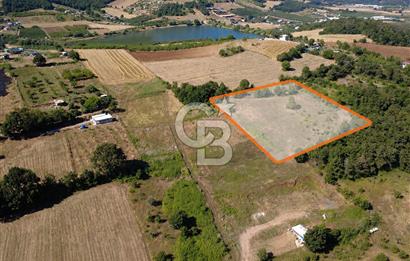 Kestel Erdoğan'da 5.546 m² Yatırıma ve Ticarete Uygun Tarla