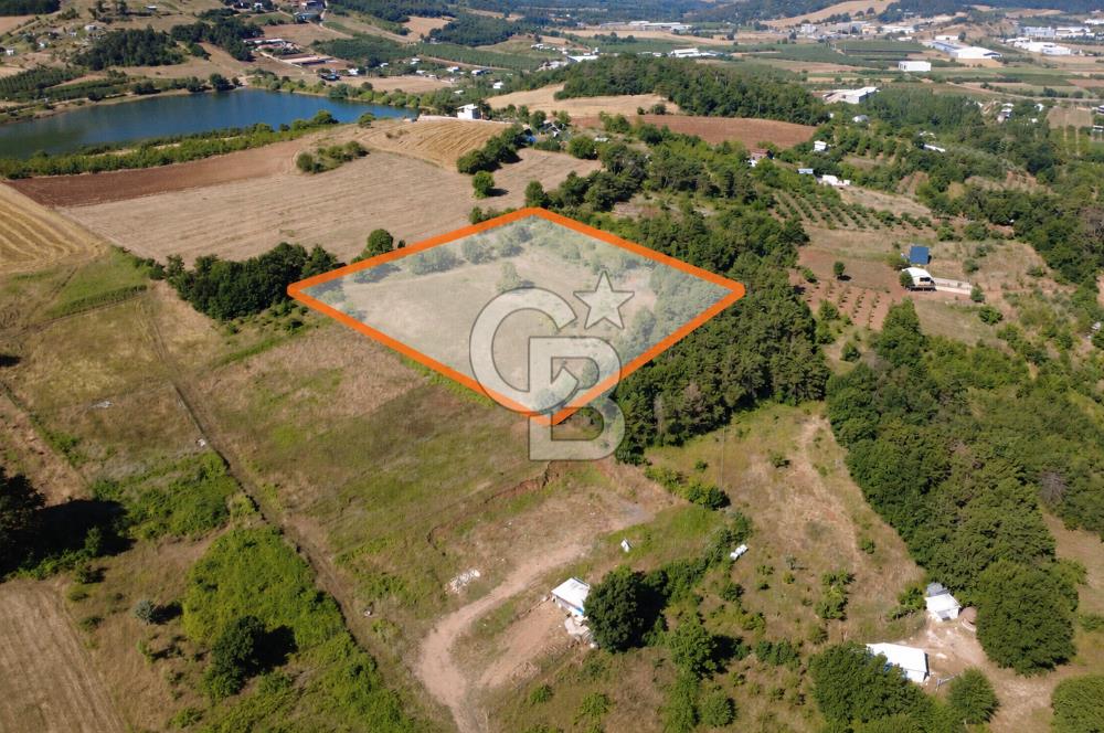 Kestel Erdoğan'da 5.546 m² Yatırıma ve Ticarete Uygun Tarla