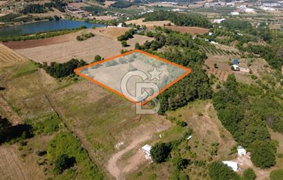 Kestel Erdoğan'da 5.546 m² Yatırıma ve Ticarete Uygun Tarla