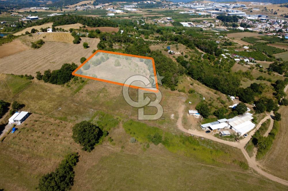 Kestel Erdoğan'da 5.546 m² Yatırıma ve Ticarete Uygun Tarla
