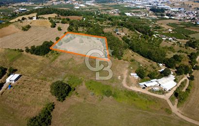Kestel Erdoğan'da 5.546 m² Yatırıma ve Ticarete Uygun Tarla