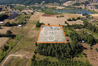 Kestel Erdoğan'da 5.546 m² Yatırıma ve Ticarete Uygun Tarla - 1 - 359660