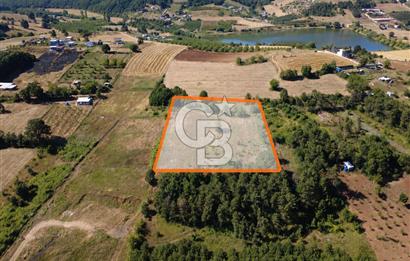 Kestel Erdoğan'da 5.546 m² Yatırıma ve Ticarete Uygun Tarla
