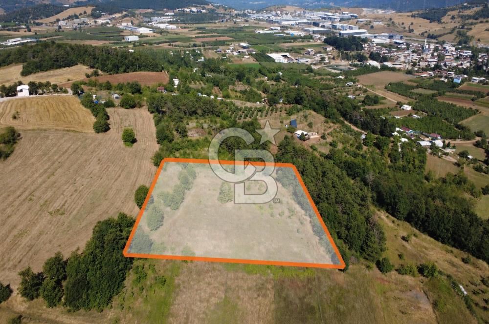Kestel Erdoğan'da 5.546 m² Yatırıma ve Ticarete Uygun Tarla