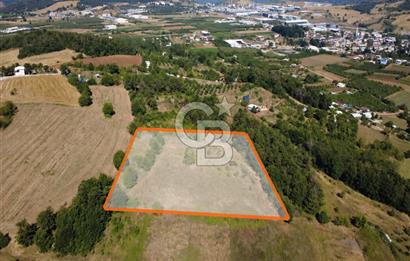 Kestel Erdoğan'da 5.546 m² Yatırıma ve Ticarete Uygun Tarla