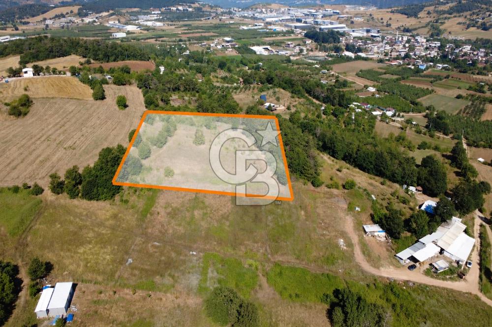 Kestel Erdoğan'da 5.546 m² Yatırıma ve Ticarete Uygun Tarla