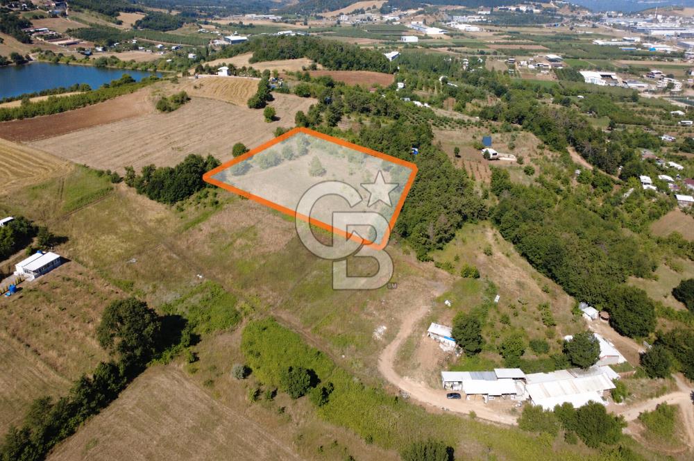 Kestel Erdoğan'da 5.546 m² Yatırıma ve Ticarete Uygun Tarla