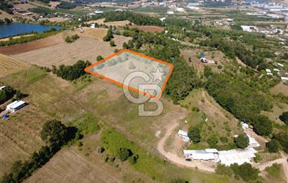 Kestel Erdoğan'da 5.546 m² Yatırıma ve Ticarete Uygun Tarla