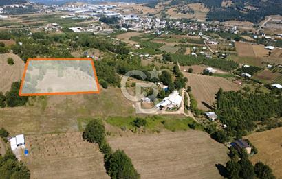 Kestel Erdoğan'da 5.546 m² Yatırıma ve Ticarete Uygun Tarla
