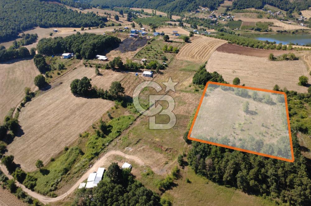 Kestel Erdoğan'da 5.546 m² Yatırıma ve Ticarete Uygun Tarla
