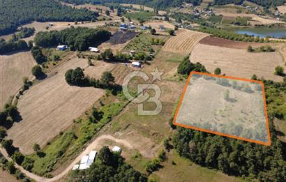 Kestel Erdoğan'da 5.546 m² Yatırıma ve Ticarete Uygun Tarla