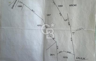 KARABURUN BOYABAĞI KOYU YAKINI DENİZ MANZARALI SATILIK ZEYTİNLİK