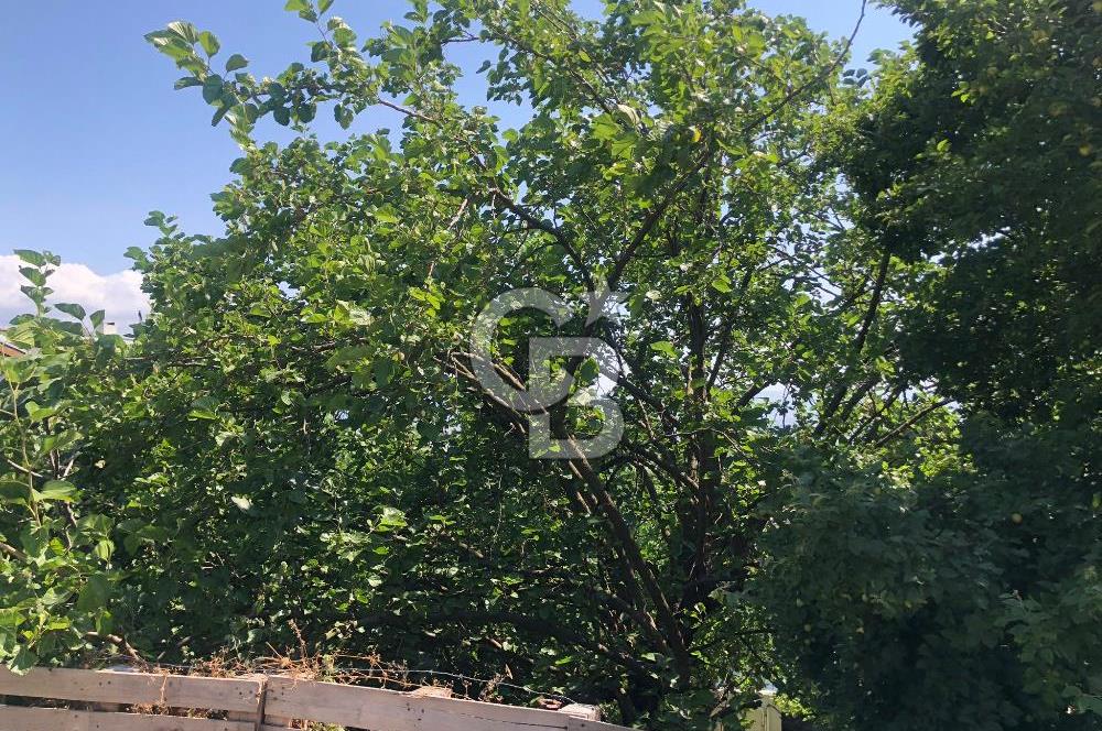 Gündoğdu Mahallesi'nde Satılık İmarlı Arsa