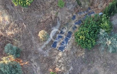 kemalpaşa yukarıkızılca da 10.744 m2 zeytşnlik