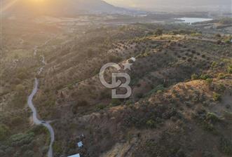 kemalpaşa yukarıkızılca da 10.744 m2 zeytşnlik - 10 - 359745