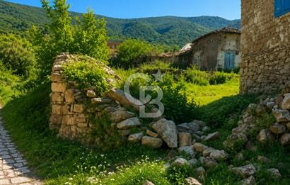 İzmir'de Ödemiş-Tire Yoluna Yakın 250 M2 İmarlı Satılık Arsa